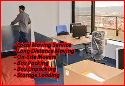 Packers And Movers Noida Sector 141